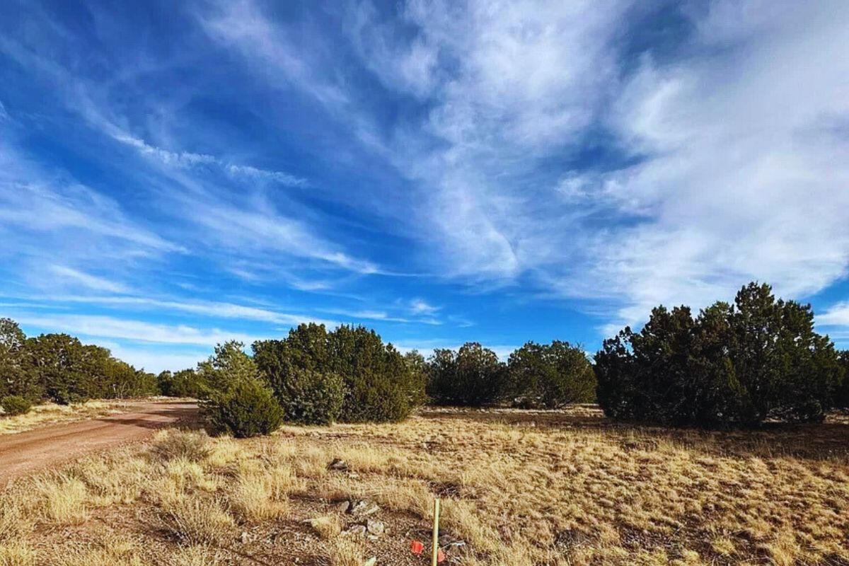 Trees near Tank - 3064 E Pk Vis Dr Williams, AZ 86046, USA